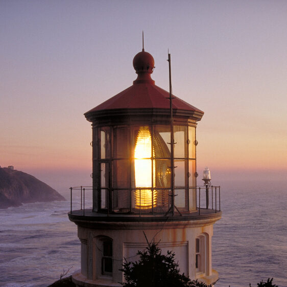 Financing Gazelles Corporate Finance Blog